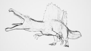 🦖恐竜クイズ🦖　スピノサウルス、その名前は「とげのあるトカゲ」を意味しますが、この恐竜が生息していた地質時代はどれでしょうか？