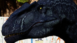 🦖恐竜クイズ🦖　ギガノトサウルスはどのタイプの恐竜に分類？